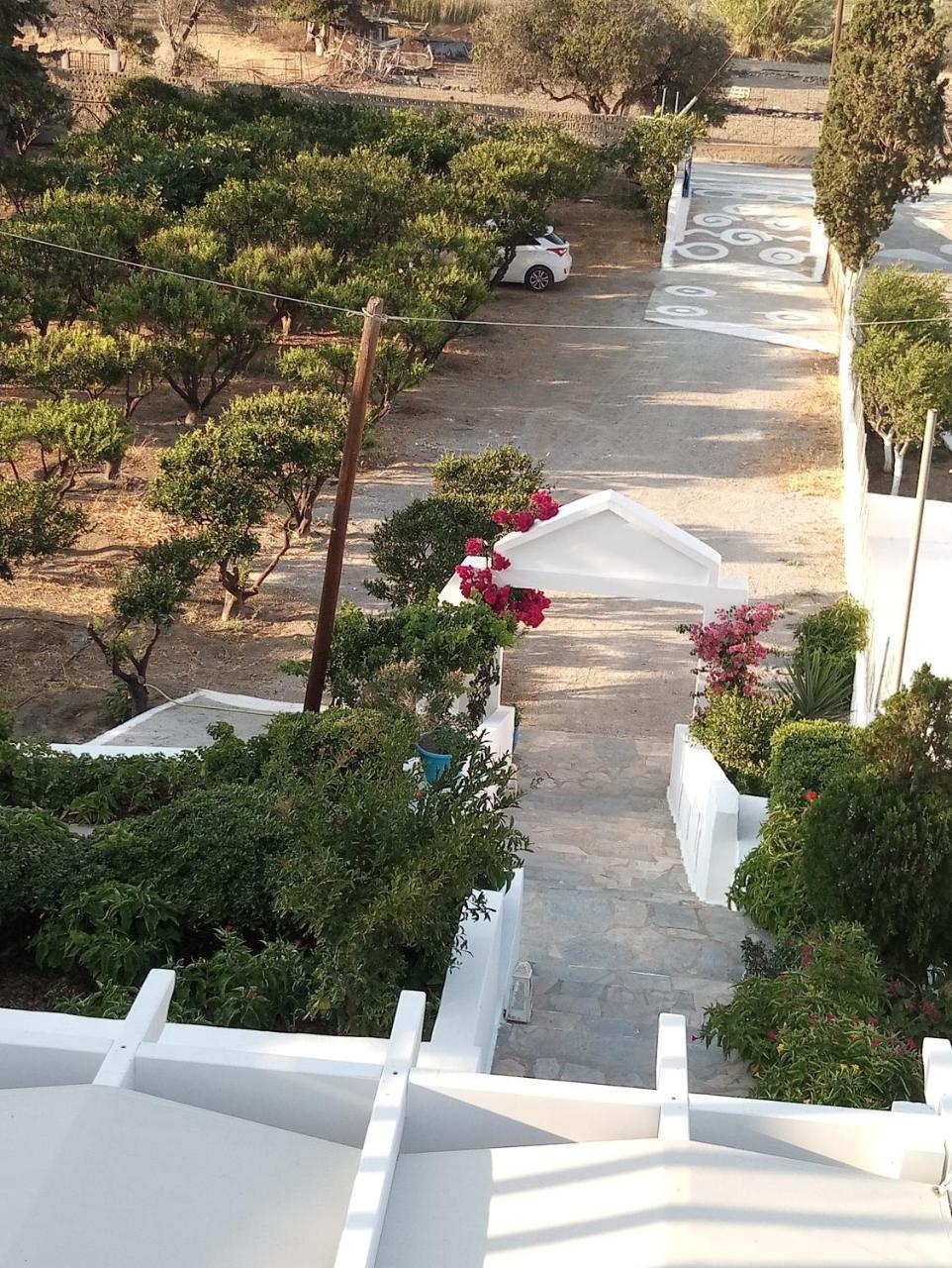 Drouga'S Studios & Suites Astypalaia Greece Livadi  エクステリア 写真